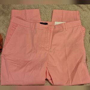 Ann Taylor Dress Pant